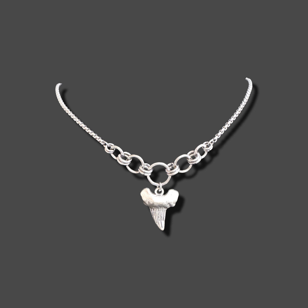 Shark Tooth