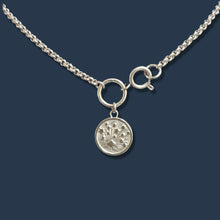 Load image into Gallery viewer, Front Clasp Shooting Stars Necklace

