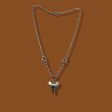 Load image into Gallery viewer, Shark Tooth
