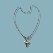 Load image into Gallery viewer, Shark Tooth
